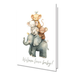 Wenskaart Welkom lieve baby door Karens's Kaartjes